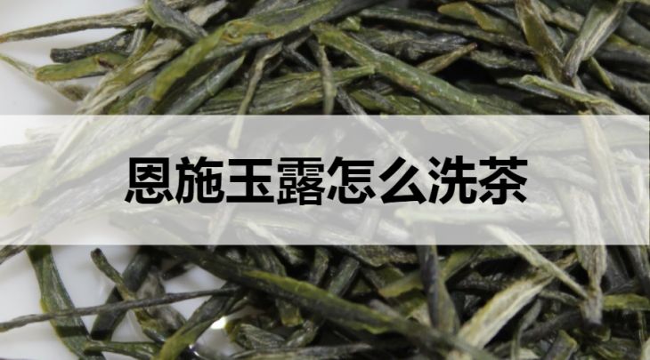 恩施玉露怎么洗茶？