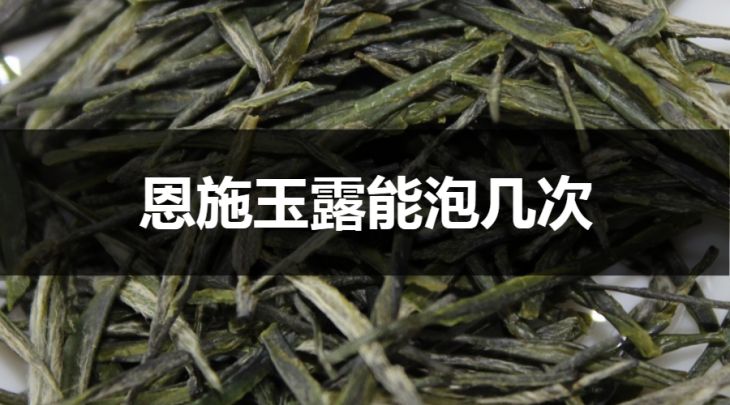 恩施玉露能泡幾次？