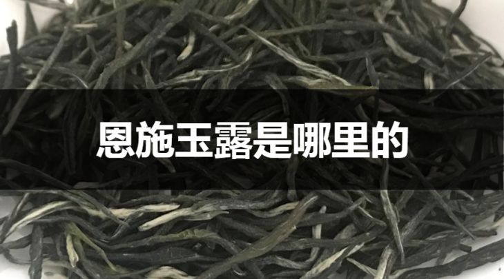 恩施玉露是哪里的？