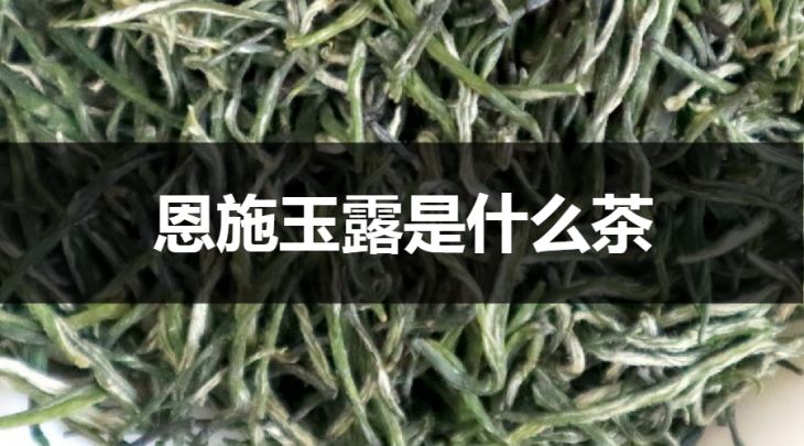 恩施玉露是什么茶？（蒸青綠茶）