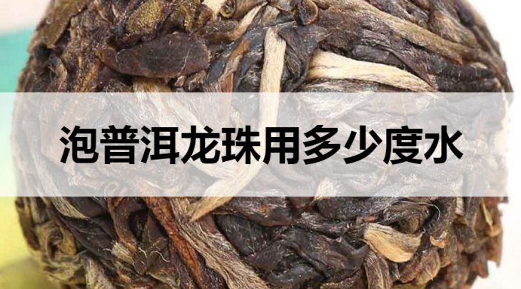 泡普洱龍珠用多少度的水？