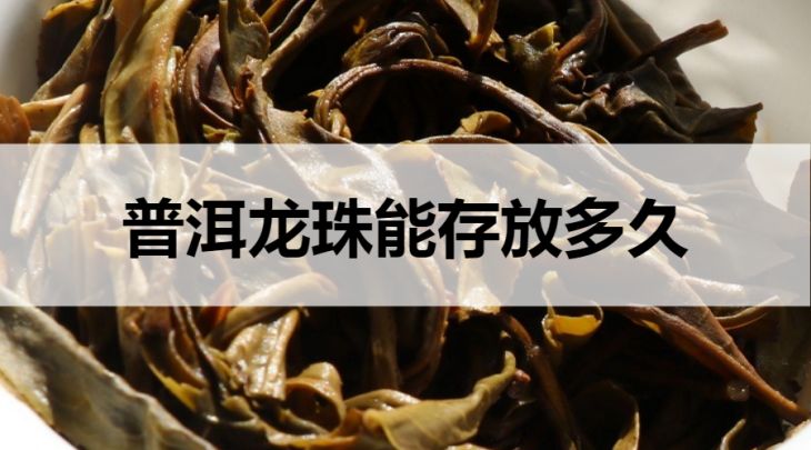 普洱龍珠能存放多久？