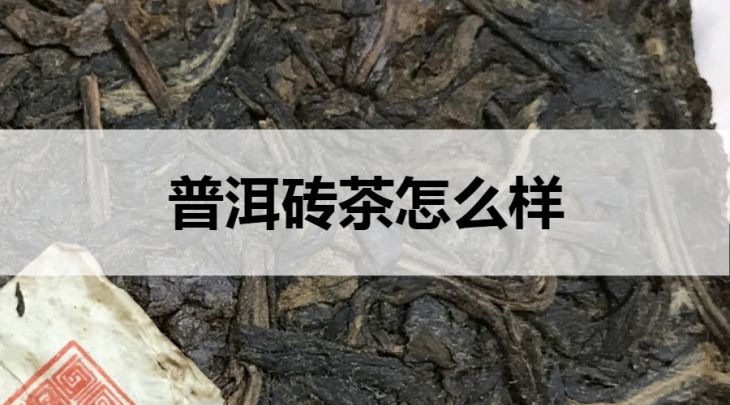 普洱磚茶怎么樣？