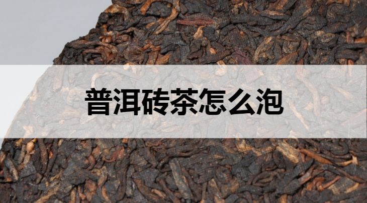 普洱磚茶怎么泡？