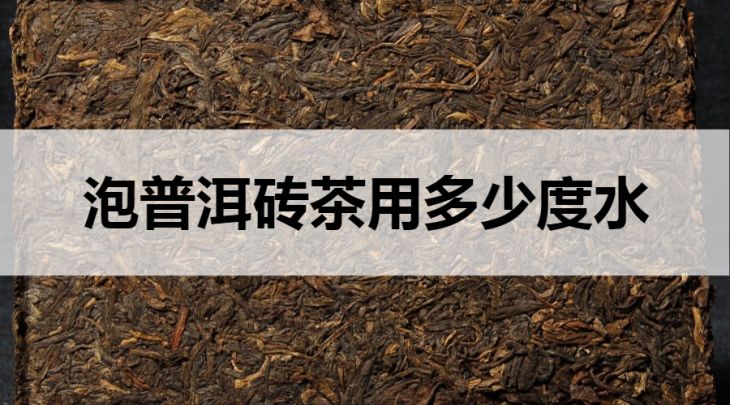 泡普洱磚茶用多少度的水？