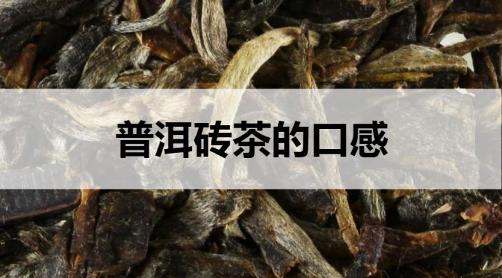 普洱磚茶的口感怎么樣？