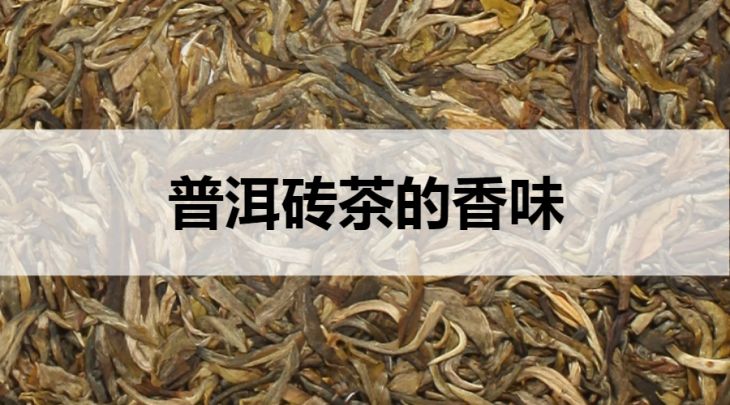 普洱磚茶的香味怎么樣？