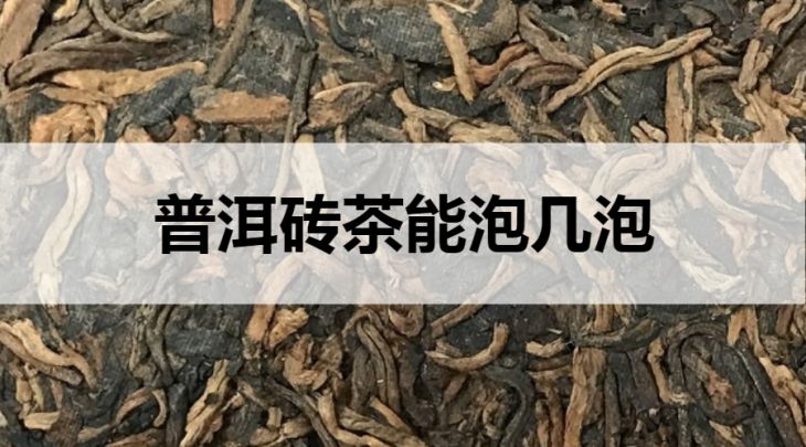 普洱磚茶能泡幾泡？