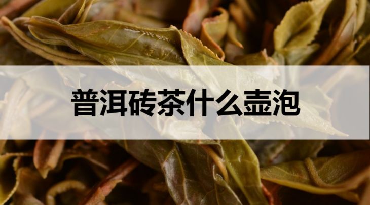 什么壺適合泡普洱磚茶？