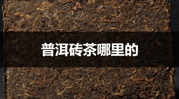 普洱磚茶是哪里的？