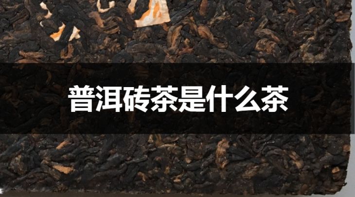 普洱磚茶是什么茶?