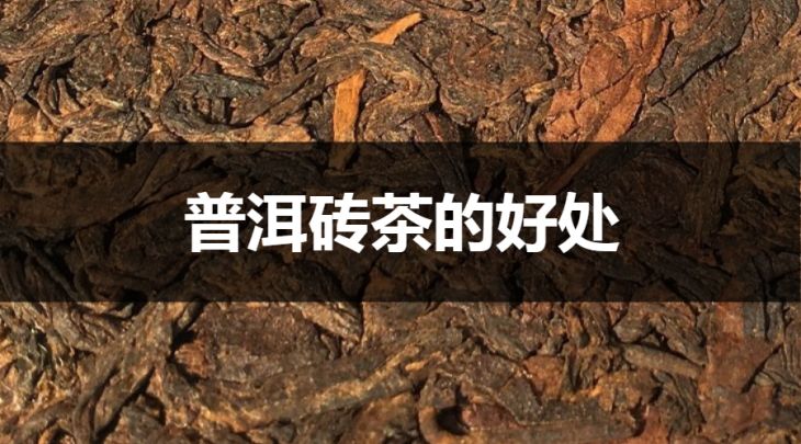 普洱磚茶的好處有哪些?