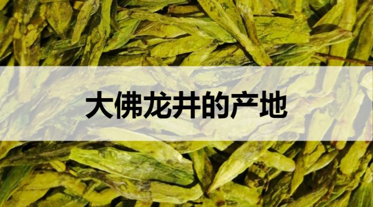 大佛龍井的產(chǎn)地在哪里？