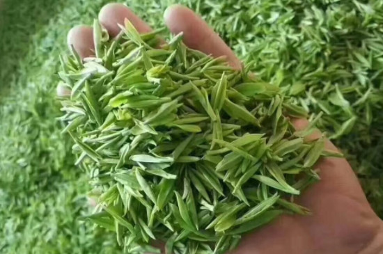 廬山云霧茶產(chǎn)地_廬山云霧茶哪個品牌正宗