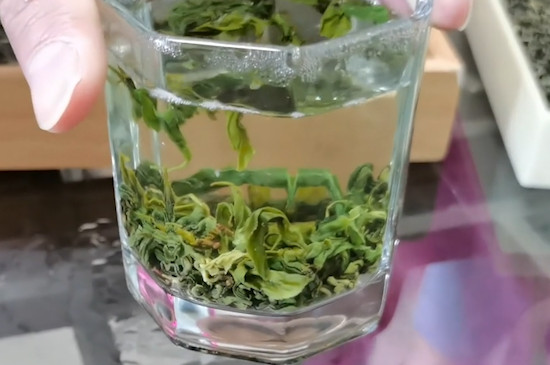 云霧茶屬于什么茶？（綠茶）