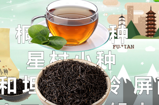 正山小種是什么茶（紅茶）