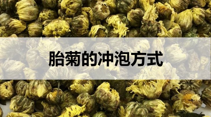 胎菊的沖泡方式