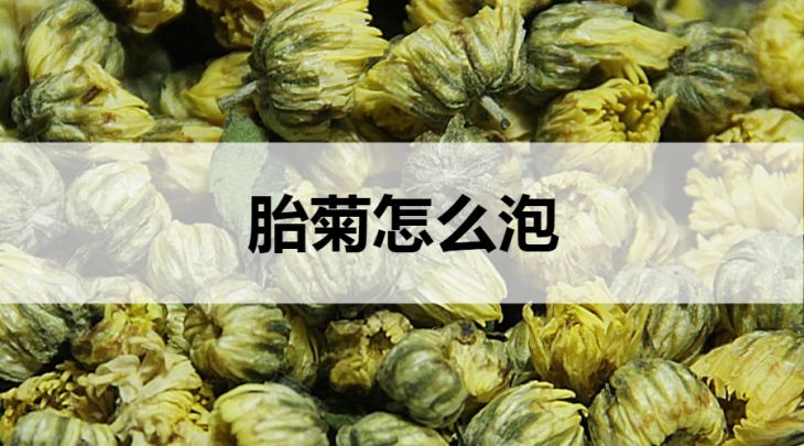 胎菊怎么泡？