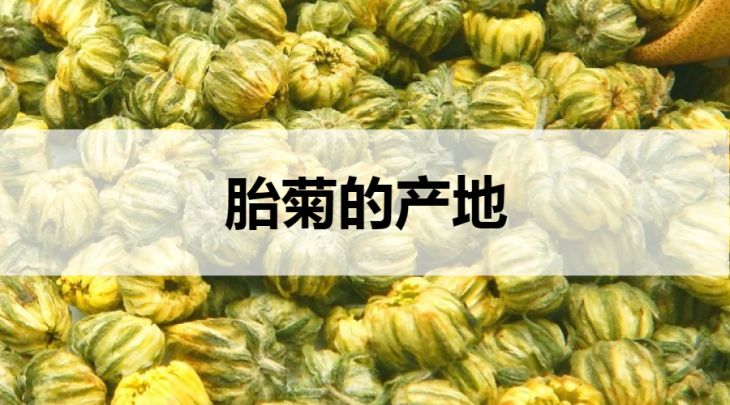 胎菊的產(chǎn)地在哪里？