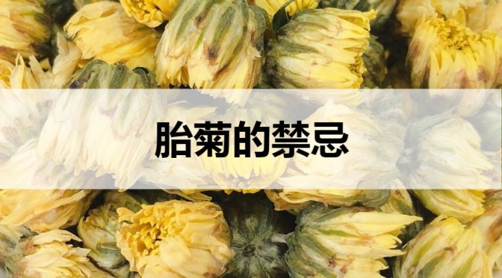 胎菊的禁忌有哪些？