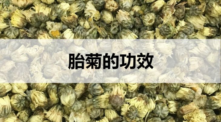 胎菊的功效有哪些？