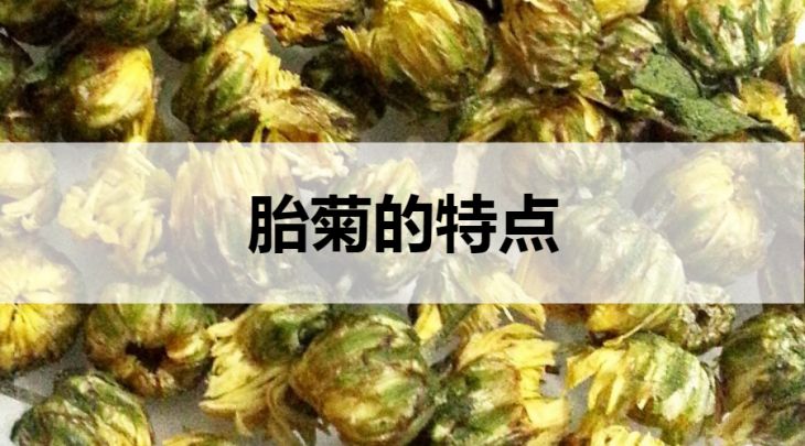 胎菊的特點有哪些？