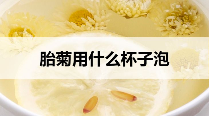 胎菊用什么杯子泡？