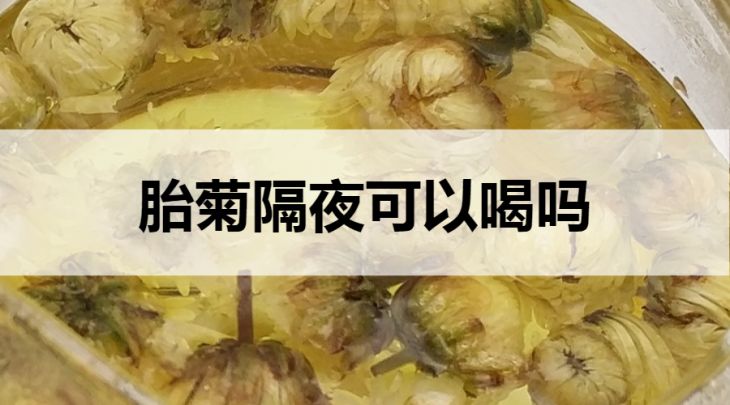 胎菊隔夜能喝嗎？