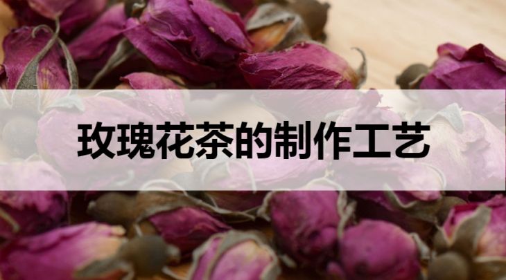 玫瑰花茶的制作工藝