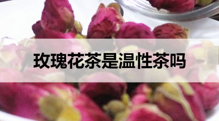 玫瑰花茶是溫性茶嗎？