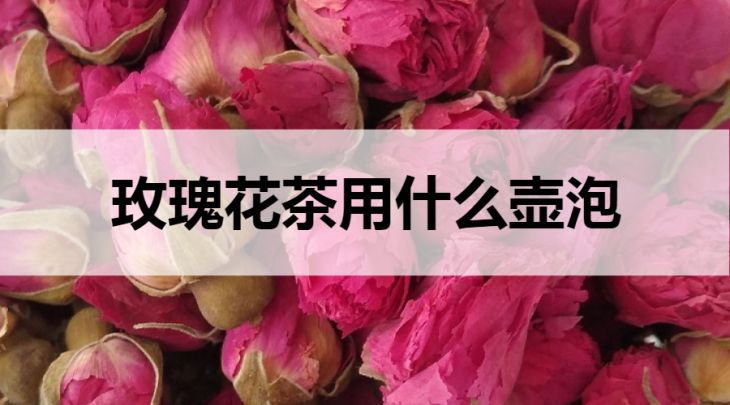 玫瑰花茶用什么壺泡？