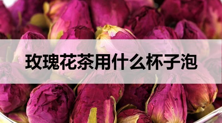 玫瑰花茶用什么杯子泡？