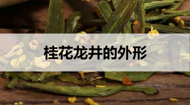 桂花龍井的外形什么樣？