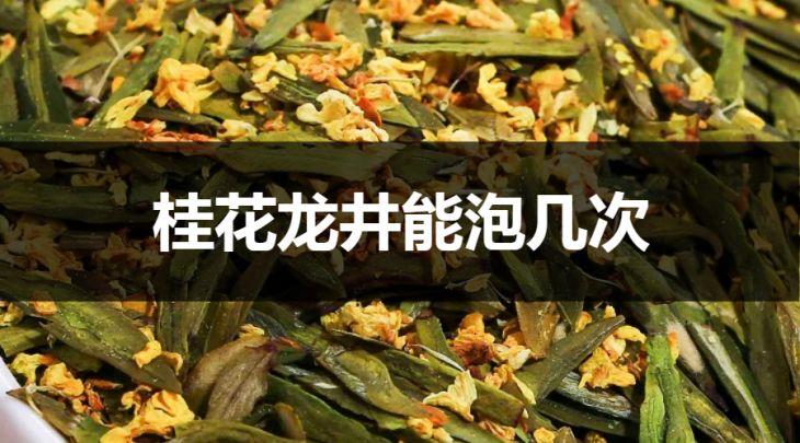 桂花龍井能沖泡幾次？