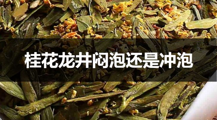 桂花龍井是悶泡還是沖泡？