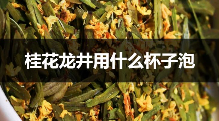 桂花龍井用什么杯子泡？