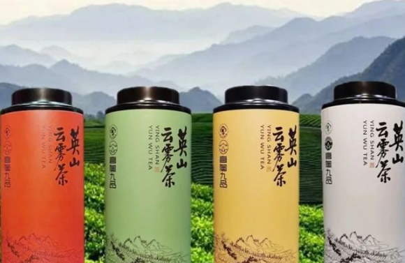 目標(biāo)100億！英山努力擦亮“大別山生態(tài)茶”的金色招牌