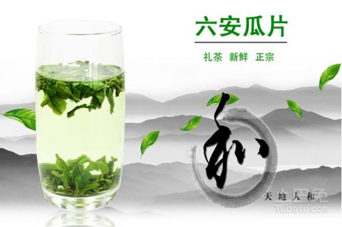 茶王六安市瓜片的價格