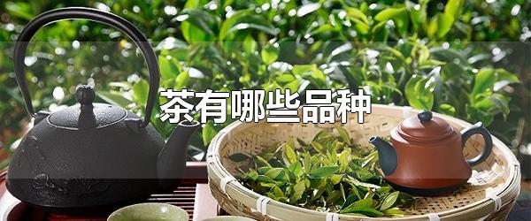 茶有哪些品種 茶的產(chǎn)地是哪里