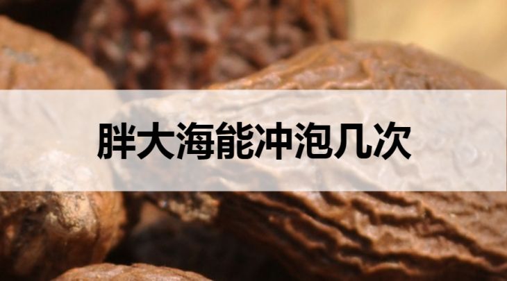 胖大海茶能夠沖泡幾次？