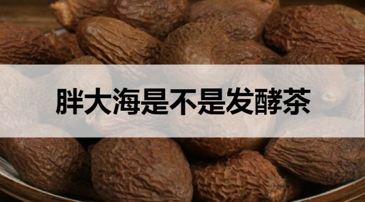 胖大海茶是不是發(fā)酵茶？