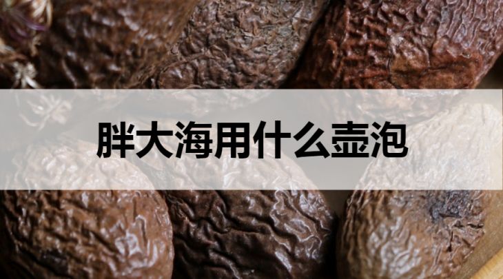 什么壺適合泡胖大海茶？