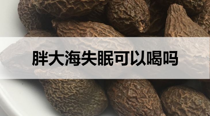 失眠可以喝胖大海茶嗎？