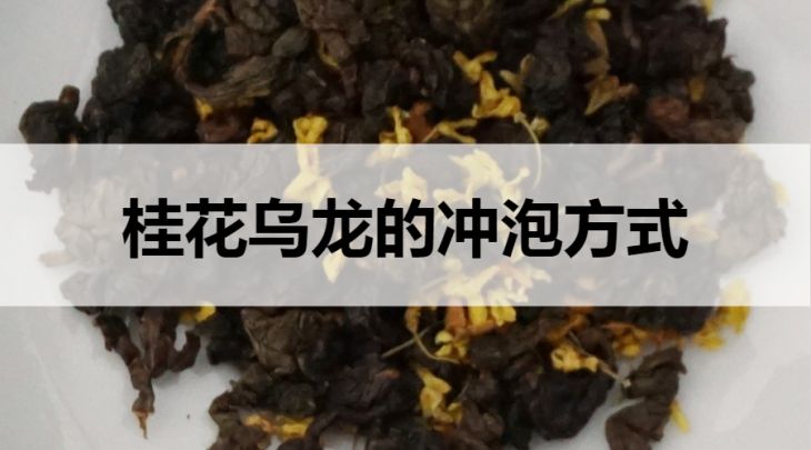 桂花烏龍茶的沖泡方式