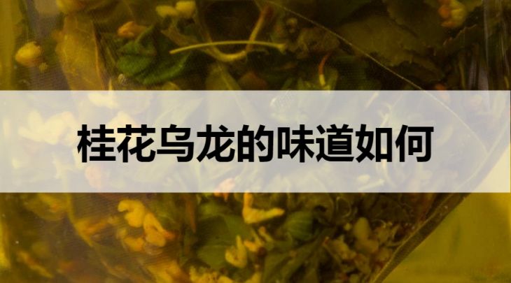 桂花烏龍的味道如何？