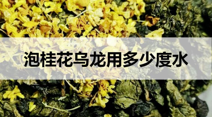 泡桂花烏龍要用多少度的水？