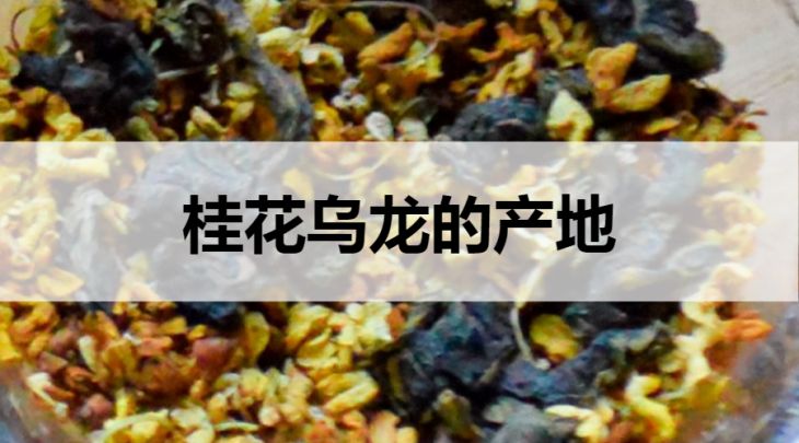 桂花烏龍茶的產(chǎn)地在哪里？