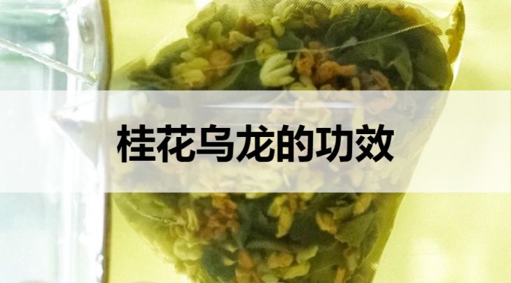 桂花烏龍茶的功效有哪些？