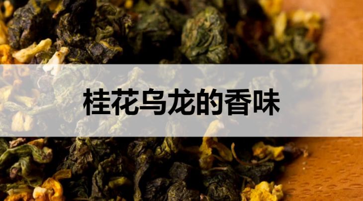 桂花烏龍的香味什么樣?