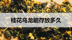 桂花烏龍能存放多久？